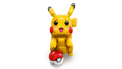 Pikachu and Poké Ball