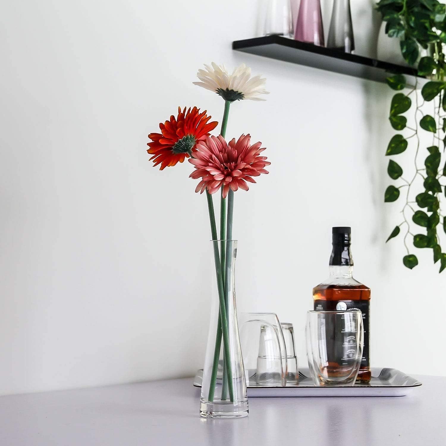Danny Home Clear Glass Plant Vase 27-cm