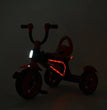 Tricycle with Music and Light for Kids