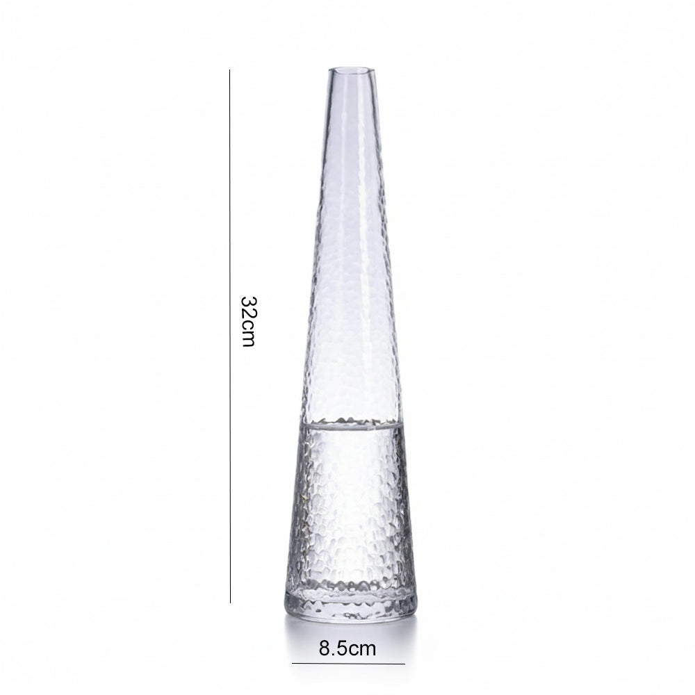 Danny Home Clear Glass Plant Vase 32cm