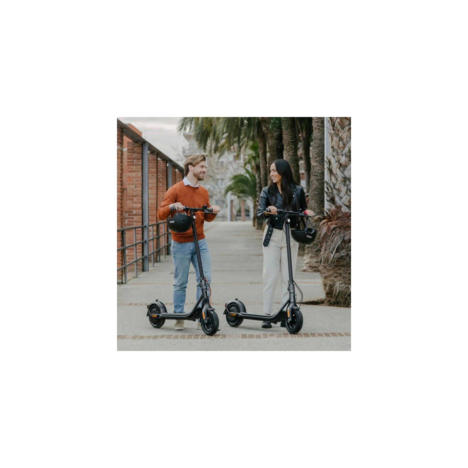 Segway Ninebot KickScooter F2 PLUS E