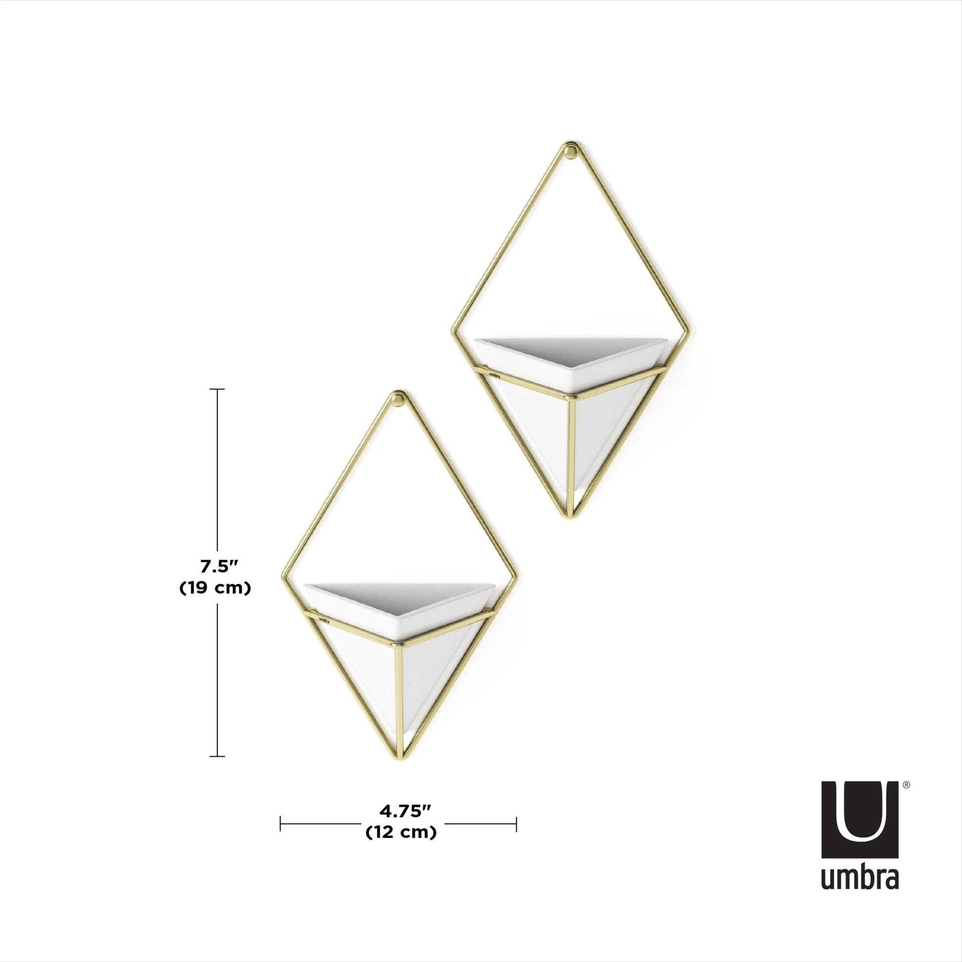 Umbra Trigg Small Wall Display set of 2 pieces