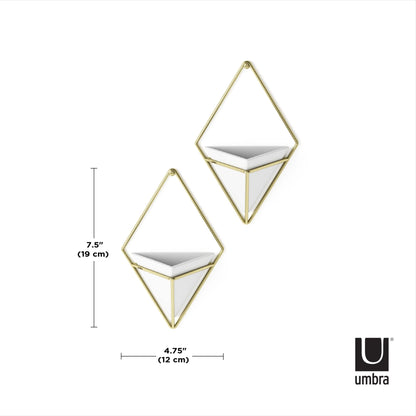 Umbra Trigg Small Wall Display set of 2 pieces