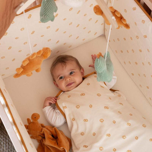 Cotton Wearable Blanket 6-24M
