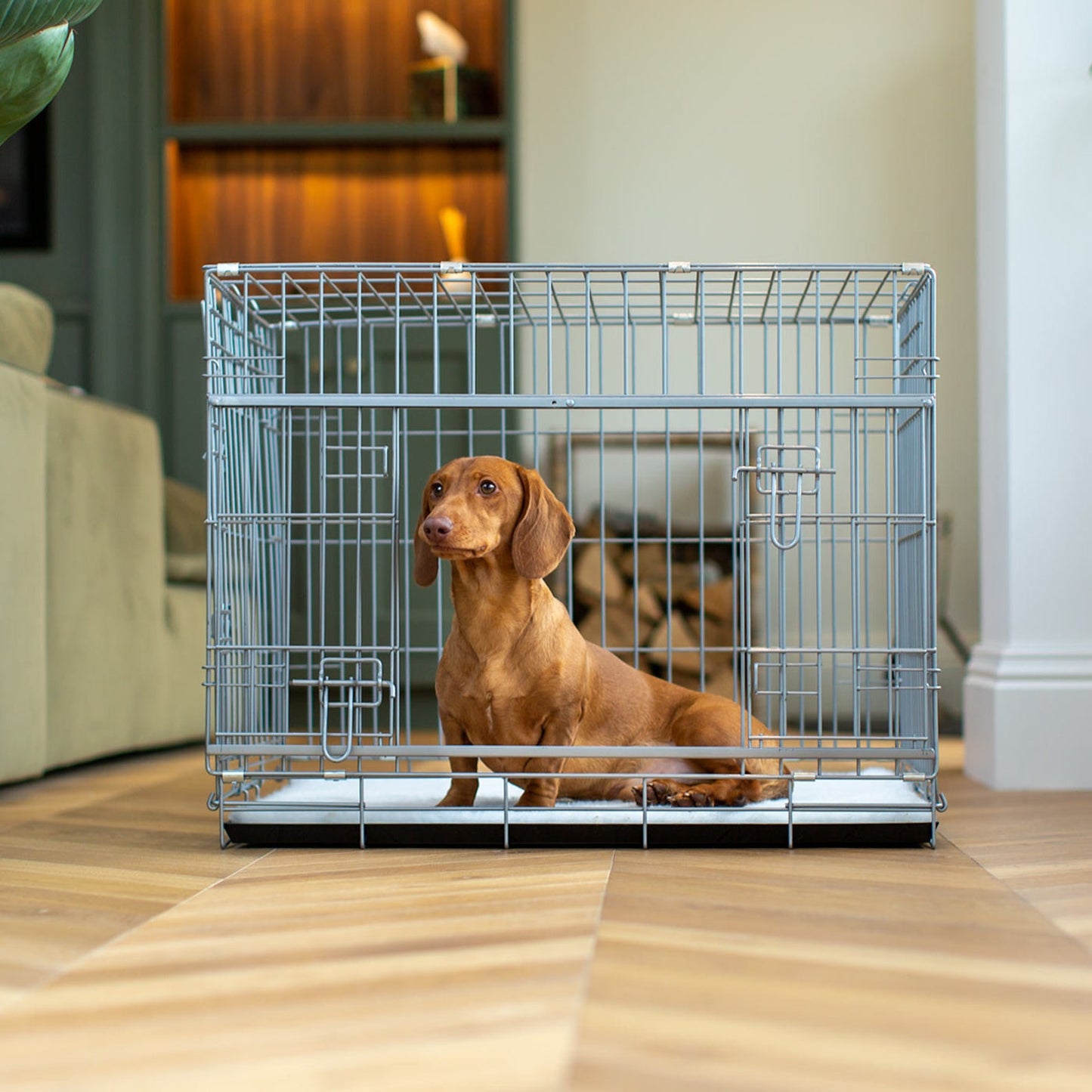 Pet Cage Carier