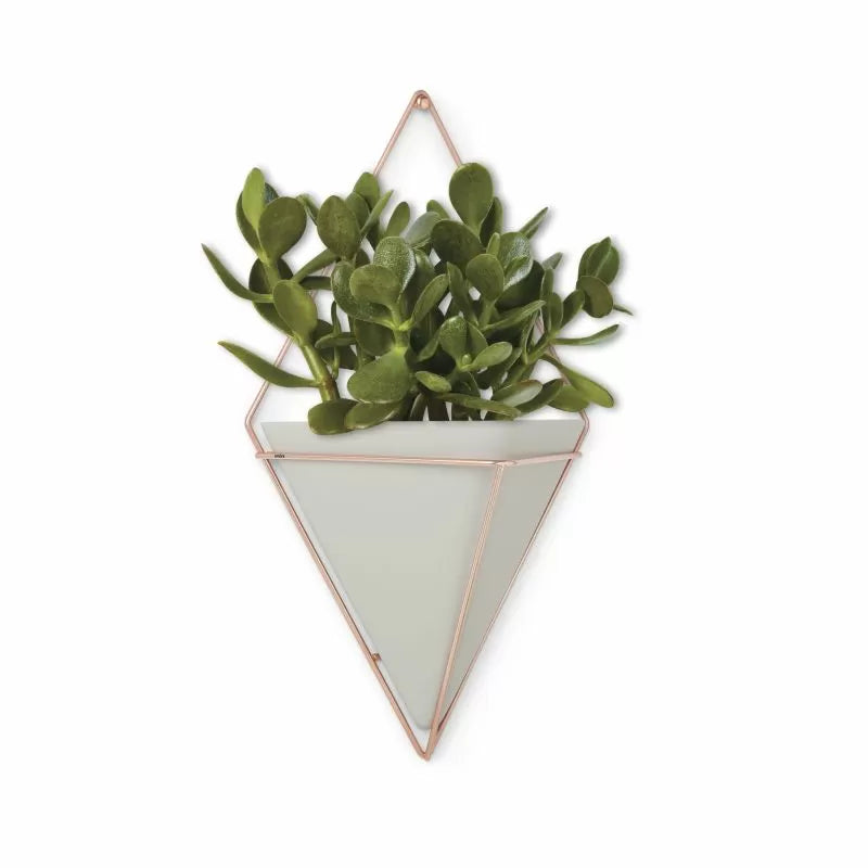 Umbra Trigg Large Wall Display