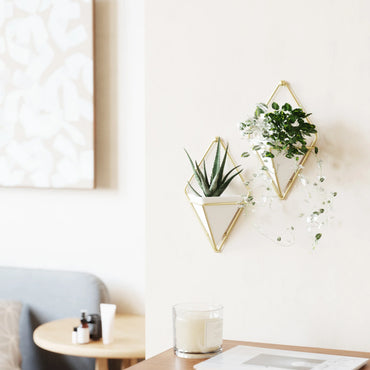Umbra Trigg Small Wall Display set of 2 pieces