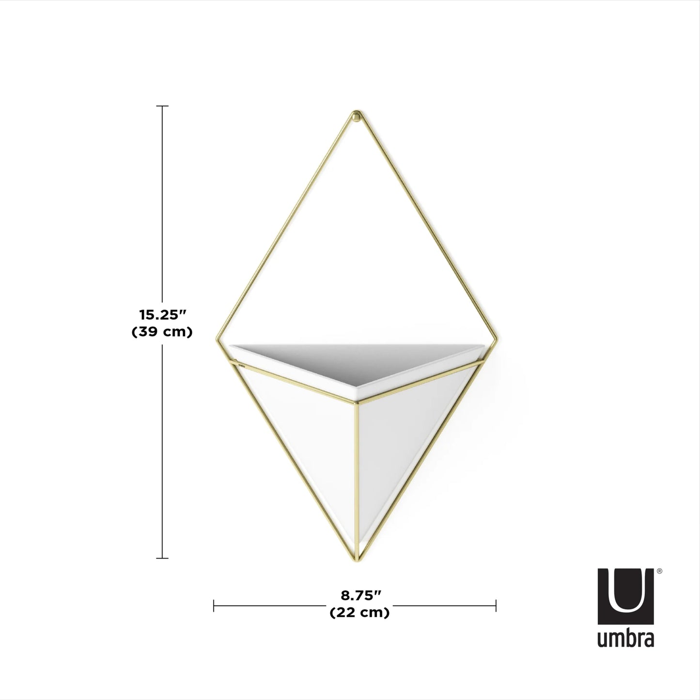 Umbra Trigg Large Wall Display