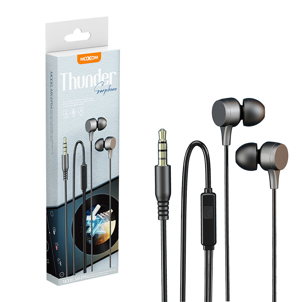 Earphones with Microphone and Control Button