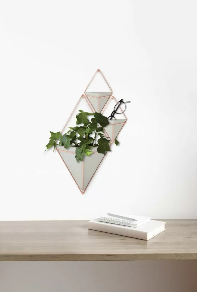 Umbra Trigg Large Wall Display
