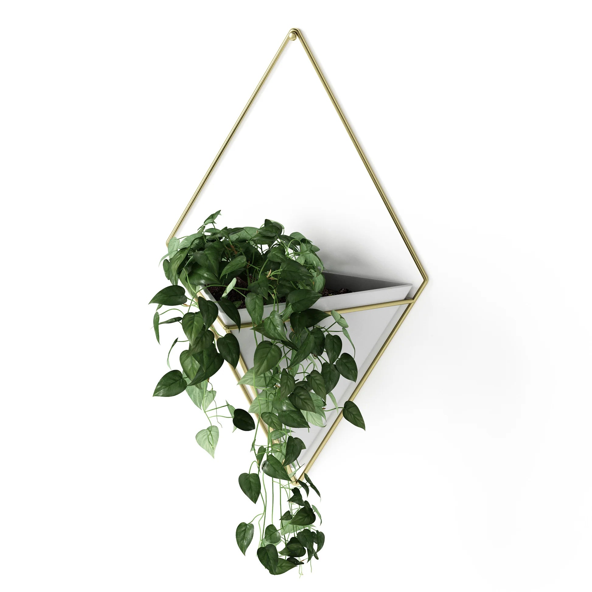 Umbra Trigg Large Wall Display