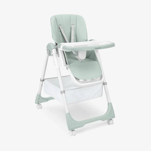 Spicy Mint Highchair