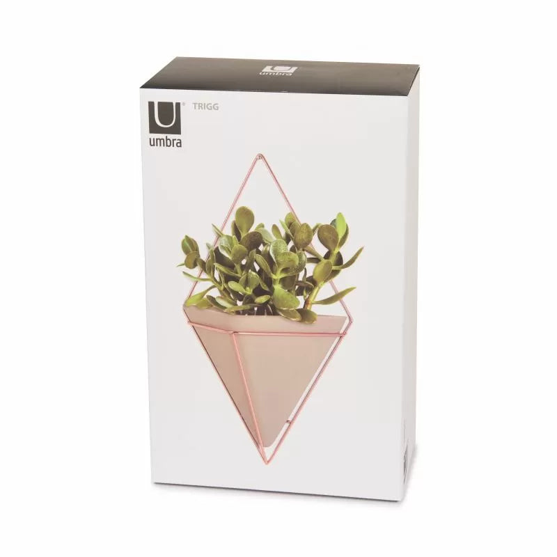 Umbra Trigg Large Wall Display