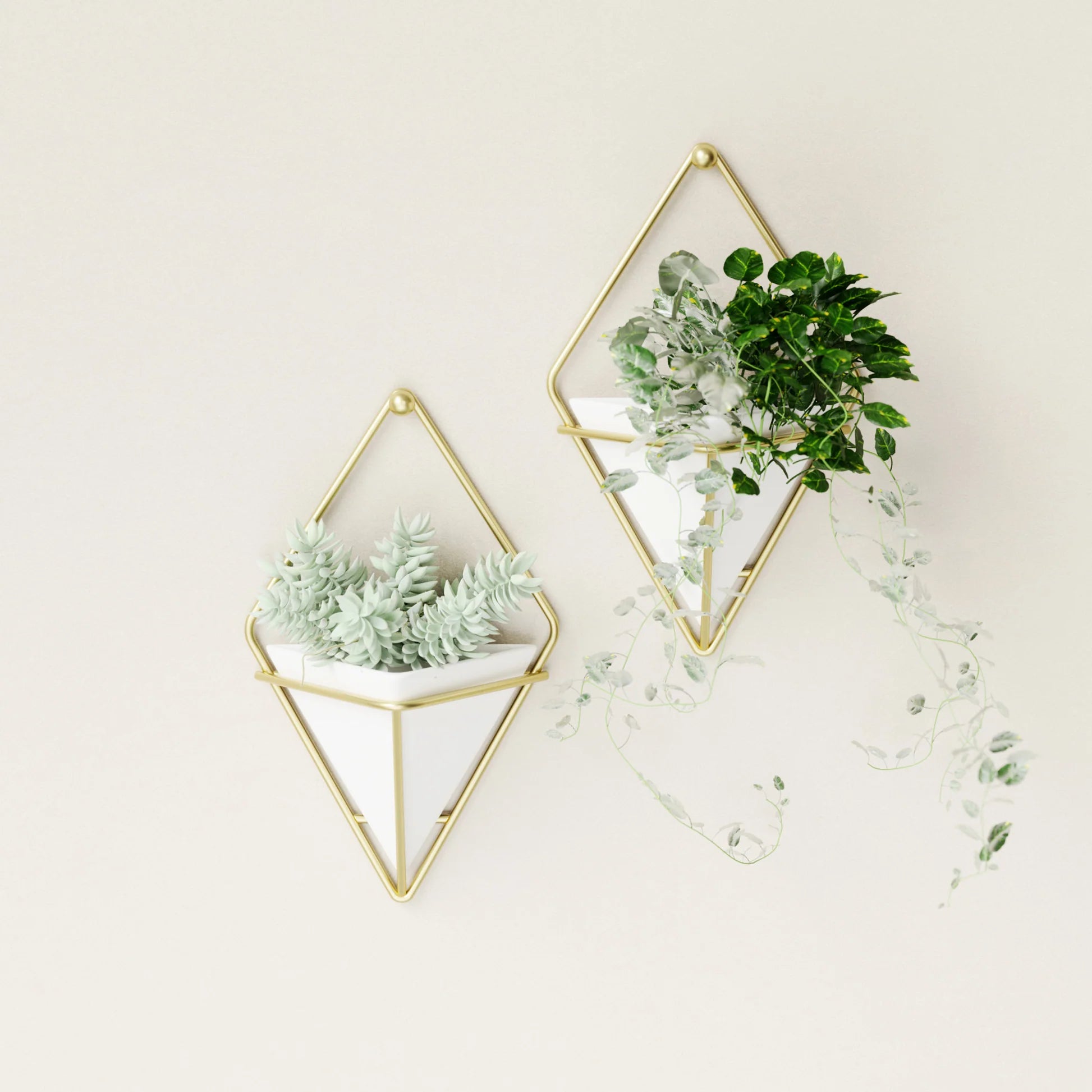 Umbra Trigg Small Wall Display set of 2 pieces