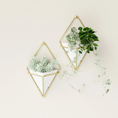 Umbra Trigg Small Wall Display set of 2 pieces